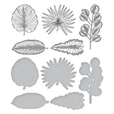 Tropical Leaves Press Plate & Die Set from the Propagation Garden Collection by Annie Williams