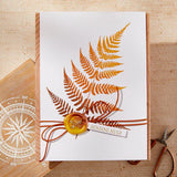 Lush Ferns BetterPress Plate from the Field Notes Collection
