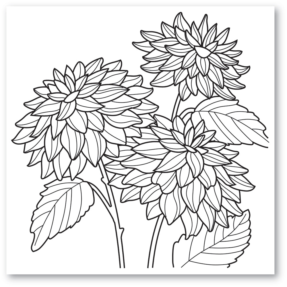 Dahlia Stems Cling Stamp