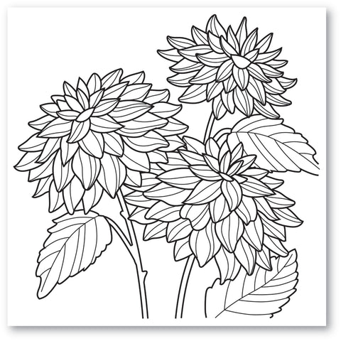 Dahlia Stems Cling Stamp