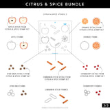 Citrus & Spice Dies