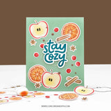 Citrus & Spice Stencil Pack (4 qty; 6 x 6)