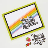 Hero Arts Totally Awesome Stamp & Cut