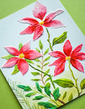 Perfect Poinsettias 3D Embossing Folder and Dies
