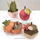 Fall Favors Box Dies