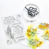 Fall Flourishes Bundle