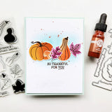 Gourd-ness Gracious Bundle