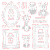 Dapper Decor Honey Cuts