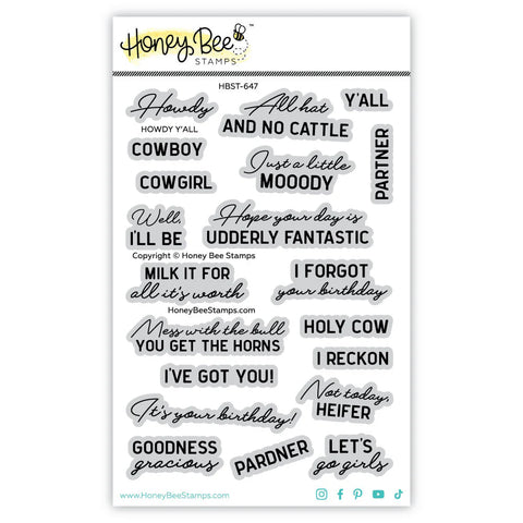 Howdy Y'all 4x6 Stamp Set