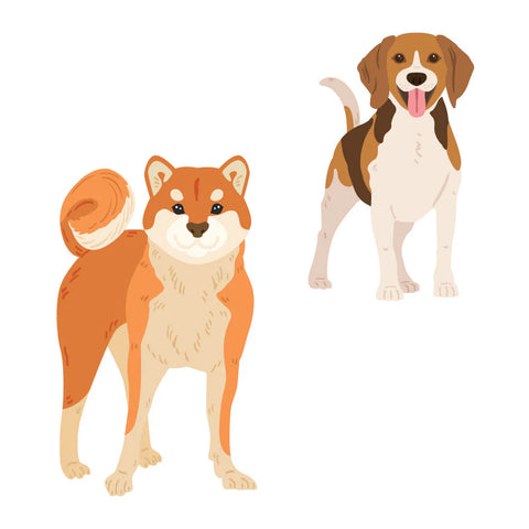 Lovely Layers: Medium Dogs Honey Cuts