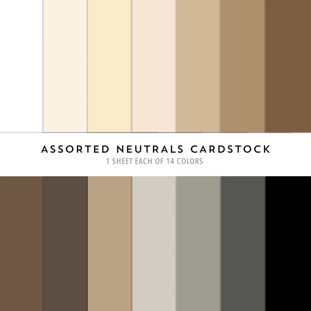 Neutrals Collection Assorted Cardstock Pack
