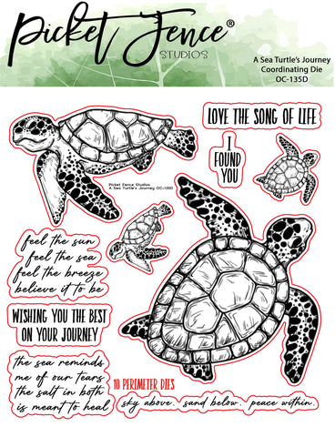 A Sea Turtle's Journey Coordinating Die