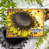 Golden Sunflower Flowerheads 6 x 6