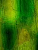 Fabuleux papier cartonné toner déjoué - Textures de bois verts et jaunes