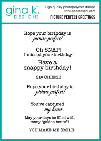 Picture Perfect Greetings Stamp Set