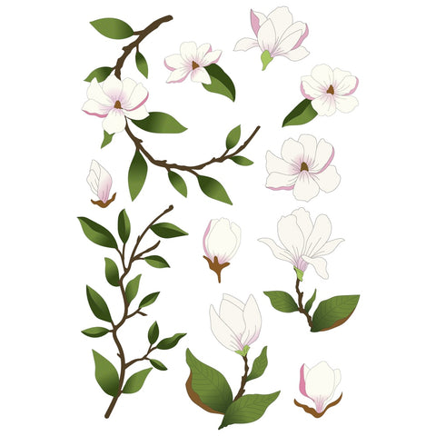 Magnolia à frictionner