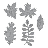 Autumn Foliage Etched Dies from The Birds & Bees Garden Collection by Susan Tierney-Cockburn