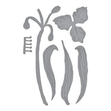 Spiderwort Etched Dies from the Through the Meadow Collection by Susan Tierney-Cockburn