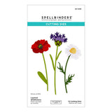 Layered Wildflowers Etched Dies from the Wildflowers Collection by Lisa Horton