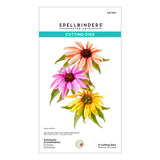 Echinacea (Coneflower) Etched Dies from the Summer Solstice Garden Collection by Susan Tierney-Cockburn