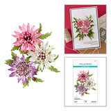 Astrantia Etched Dies by Susan Tierney-Cockburn