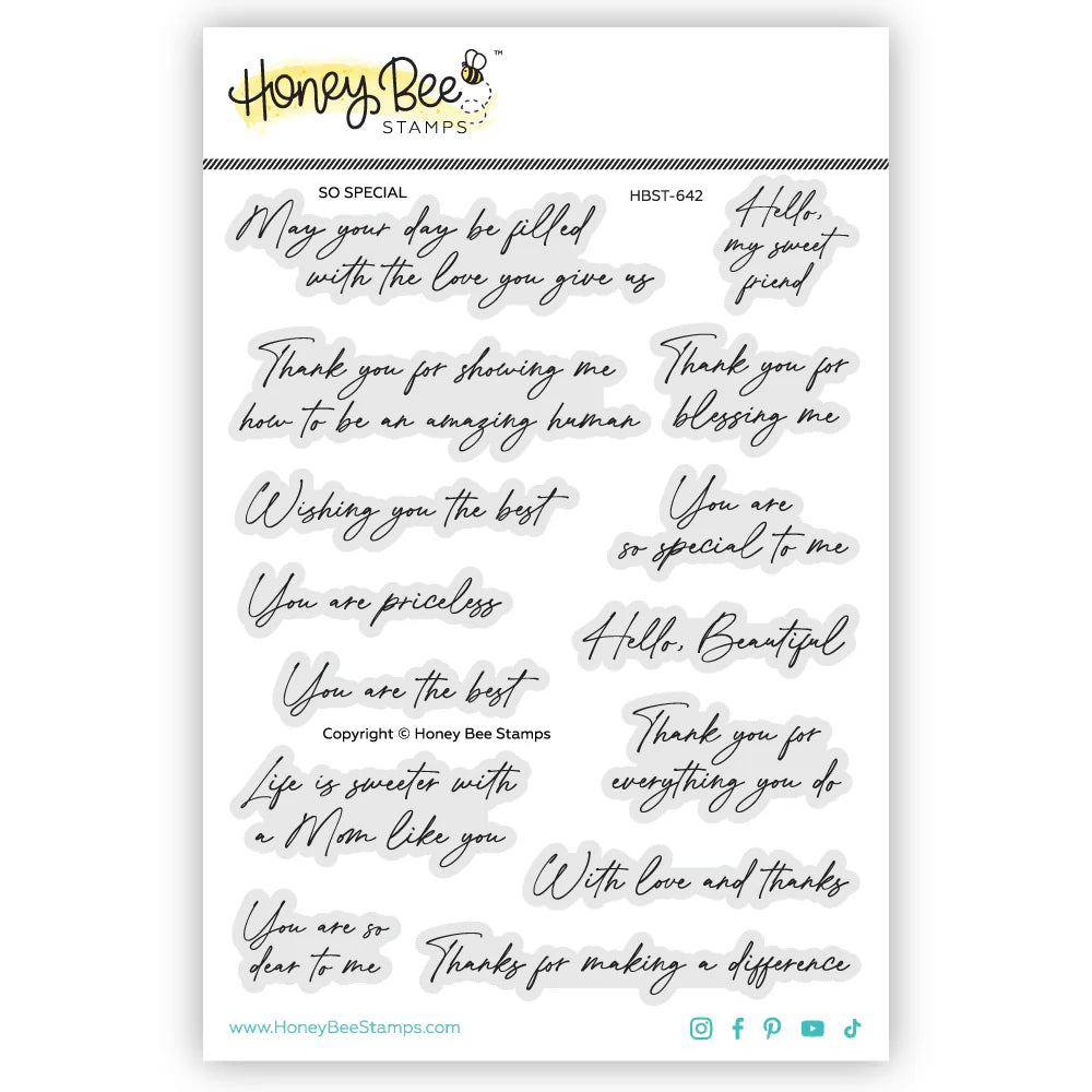 So Special 5x6 Stamp Set
