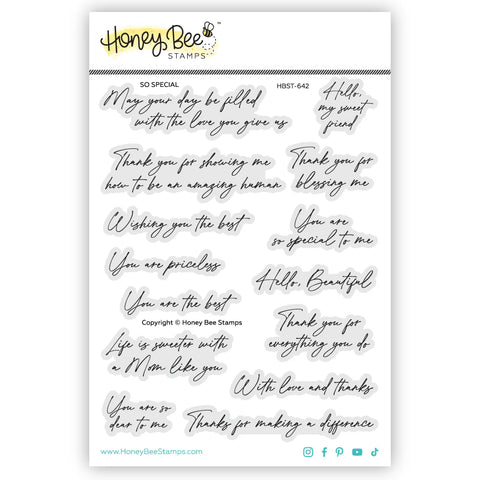 So Special 5x6 Stamp Set