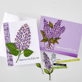 Hero Arts No One Lilac You Stamp & Cut Set