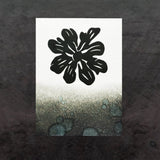 SHC Stellar Ink Pad - Black Widow