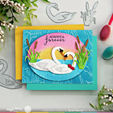 Loving Swans Die