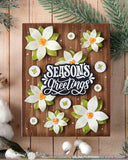 Poinsettia Frame Die