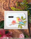 Birdie Duo Die-n-stencil