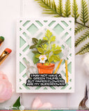 Pots and Plants Die