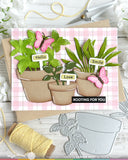 Pots and Plants Die