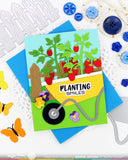 Pots and Plants Die