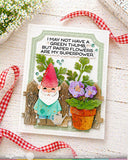 Pots and Plants Die