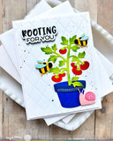 Pots and Plants Die