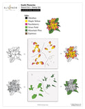 Lot de Plumerias exotiques