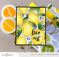 Zesty Life Bundle