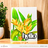 Charmant pack Heliconia