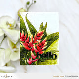 Charmant pack Heliconia