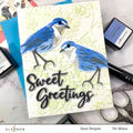 Spark Joy: Sweet Greetings & Add-on Die Bundle