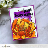 Versatile Greetings 3 Press Plates (Comfort Edition)