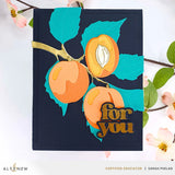 Versatile Greetings 3 (Comfort Edition)