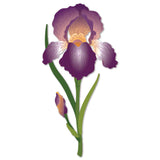 Lovely Layers: Iris - Honey Cuts