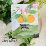Lovely Layers: Citrus Honey Cuts