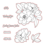 Summer Smiles Honey Cuts