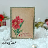 Holiday Blooms - Honey Cuts