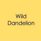 Envelopes 10pk Wild Dandelion
