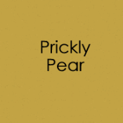 Envelopes 10pk Prickly Pear